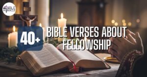 Bible Verses About Fellowship