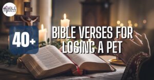 Bible Verses For Losing A Pet