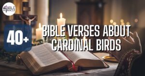Bible Verses About Cardinal Birds