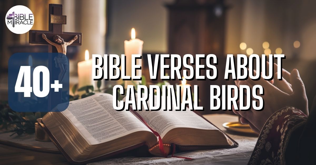 Bible Verses About Cardinal Birds