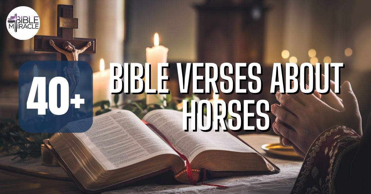 Bible Verses About Horses