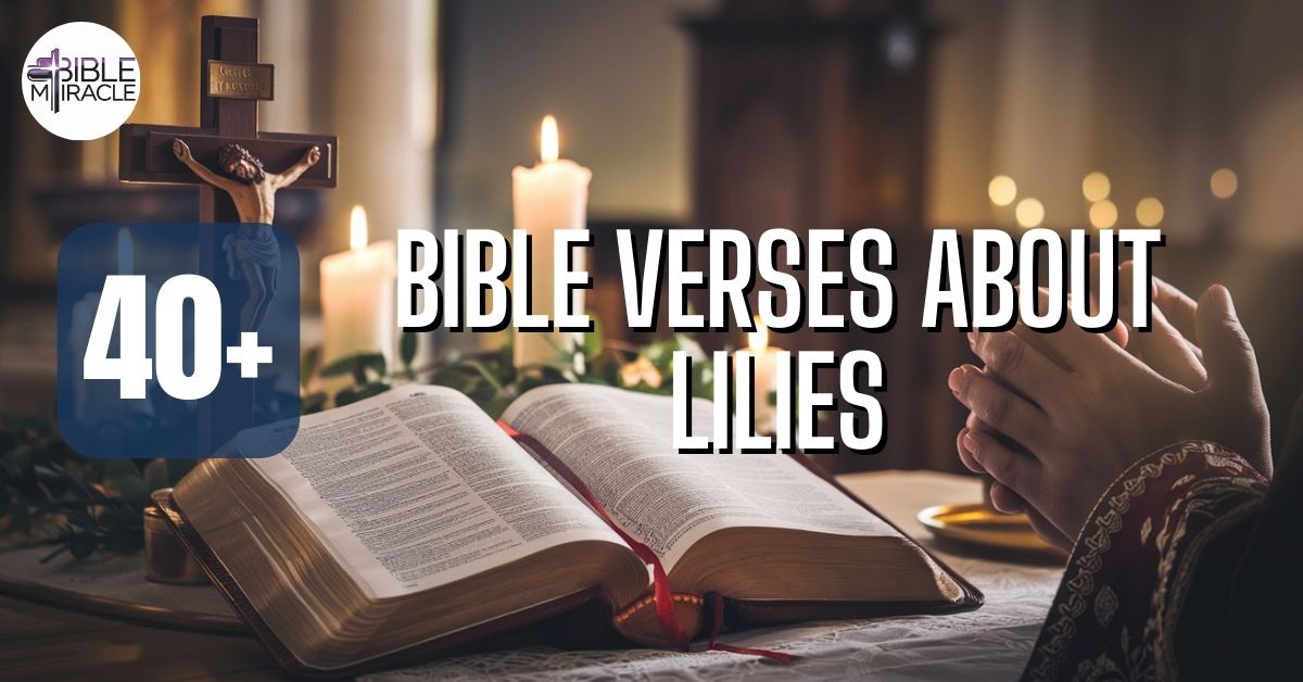 Bible Verses About Lilies