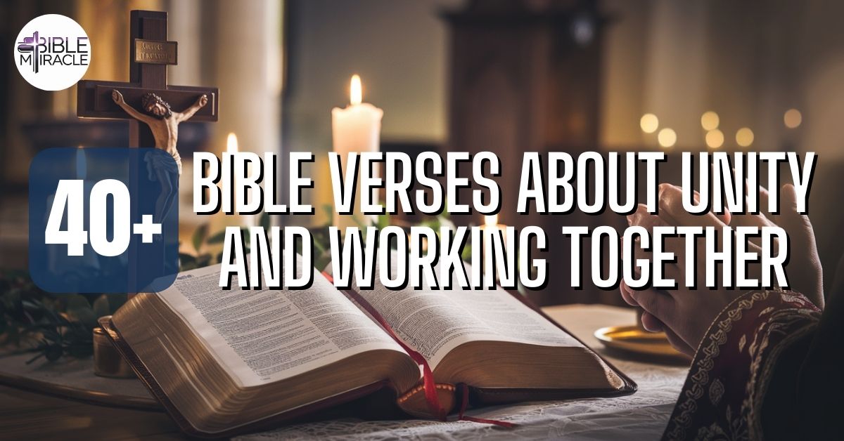 Bible Verses About Unity And Working Together