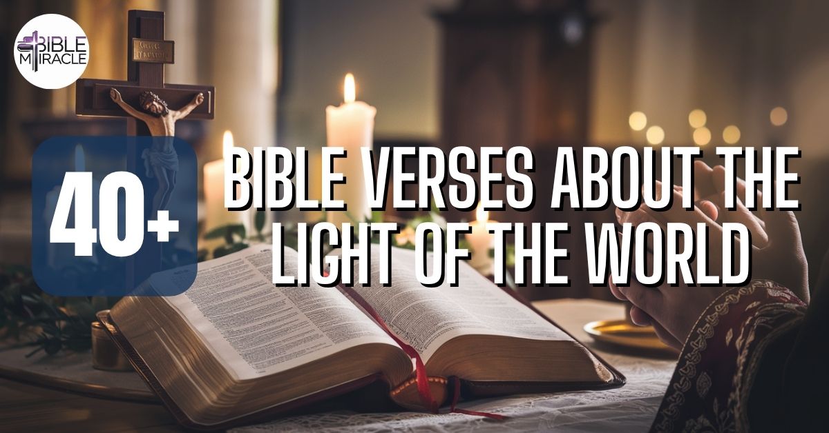 Bible Verses About The Light Of The World