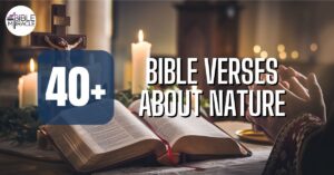 Bible Verses About Nature