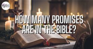 How Many Promises Are In The Bible?